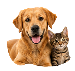 Un perro y un gato juntos